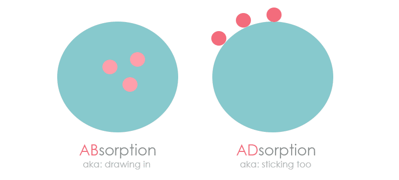 Adsorption VS Absorption | How Clay Works