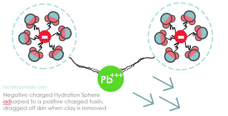 Adsorption of positive ion by negative charged hydration spheres