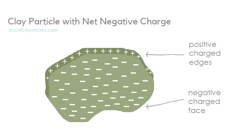 Clay Particle with Net Negative Charge