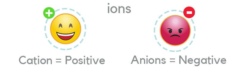 What are Cations and Anions?