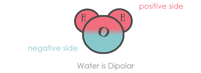 Di-polar Water Molecule | How Clay works on your skin